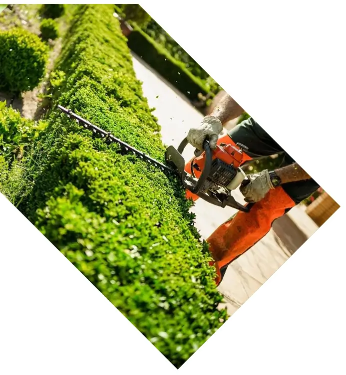 Gutter Cleaning Charmhaven