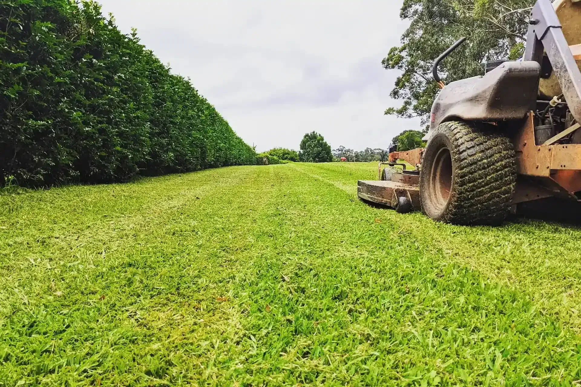 Ride-on mower on large acreage property Central Coast
