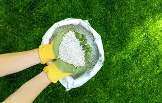 Lawn Mowing Mardi