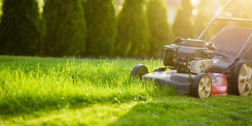 Lawn mower cutting grass at a home in Blacksmiths NSW