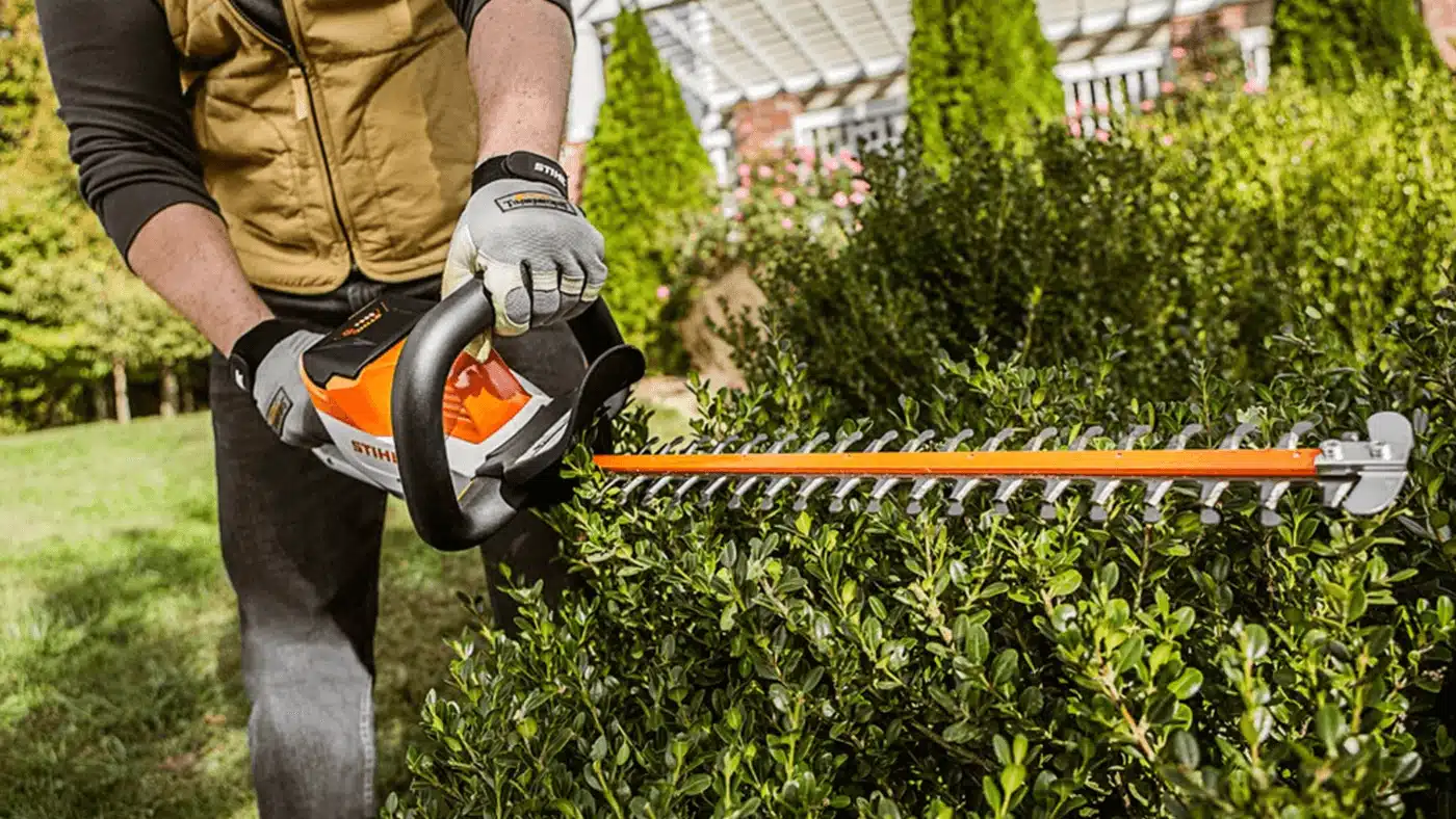 Hedge Trimming San Remo