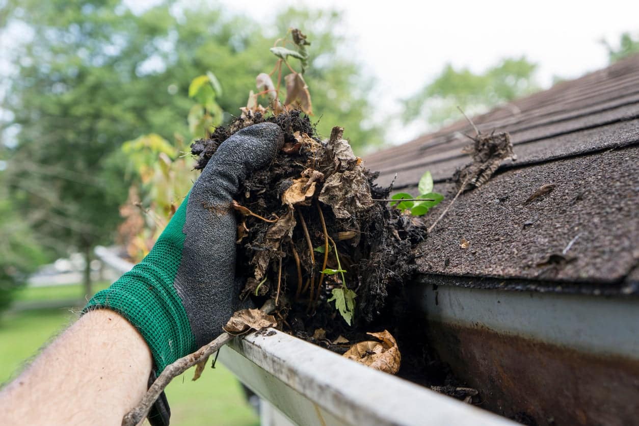 Gutter Cleaning San Remo
